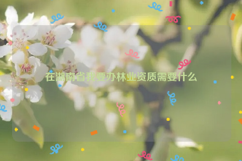 在湖南省我要辦林業資質需要什么