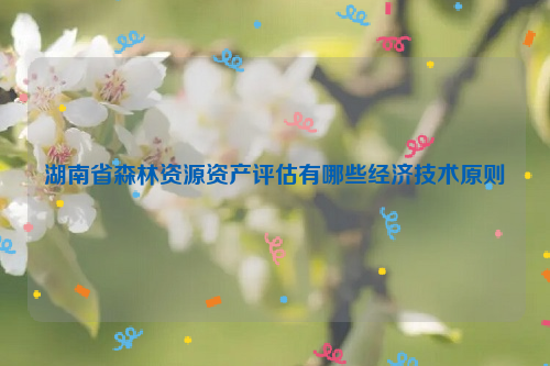 湖南省森林資源資產評估有哪些經濟技術原則