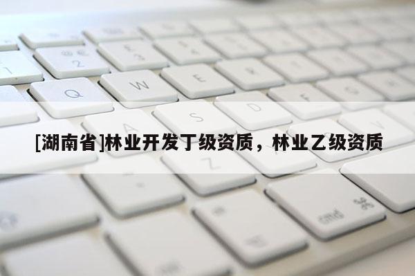 [湖南省]林業(yè)開發(fā)丁級(jí)資質(zhì)，林業(yè)乙級(jí)資質(zhì)