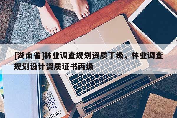 [湖南省]林業調查規劃資質丁級，林業調查規劃設計資質證書丙級