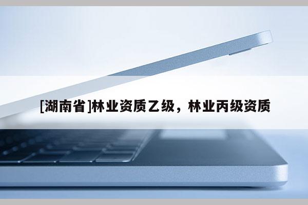 [湖南省]林業資質乙級，林業丙級資質