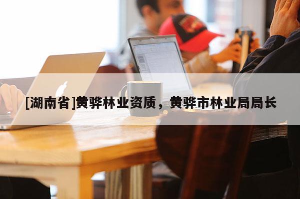 [湖南省]黃驊林業資質，黃驊市林業局局長