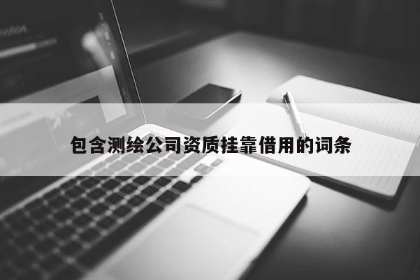 包含測繪公司資質(zhì)掛靠借用的詞條