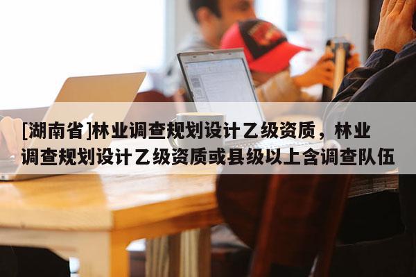 [湖南省]林業調查規劃設計乙級資質，林業調查規劃設計乙級資質或縣級以上含調查隊伍