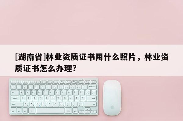 [湖南省]林業(yè)資質(zhì)證書(shū)用什么照片，林業(yè)資質(zhì)證書(shū)怎么辦理?
