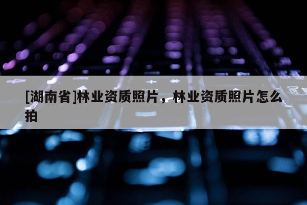 [湖南省]林業資質照片，林業資質照片怎么拍