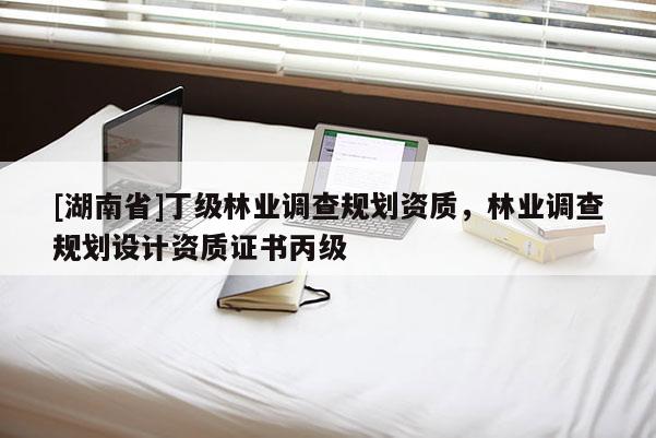 [湖南省]丁級(jí)林業(yè)調(diào)查規(guī)劃資質(zhì)，林業(yè)調(diào)查規(guī)劃設(shè)計(jì)資質(zhì)證書丙級(jí)