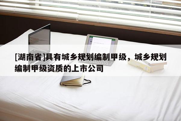 [湖南省]具有城鄉規劃編制甲級，城鄉規劃編制甲級資質的上市公司