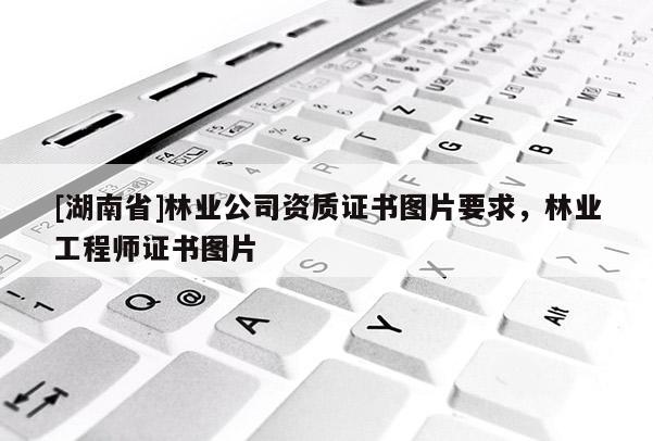 [湖南省]林業公司資質證書圖片要求，林業工程師證書圖片