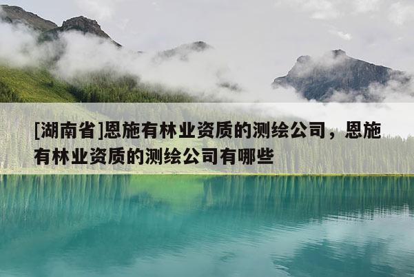 [湖南省]恩施有林業資質的測繪公司，恩施有林業資質的測繪公司有哪些