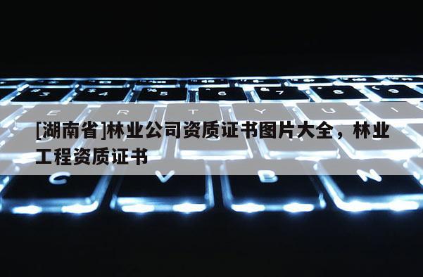 [湖南省]林業公司資質證書圖片大全，林業工程資質證書