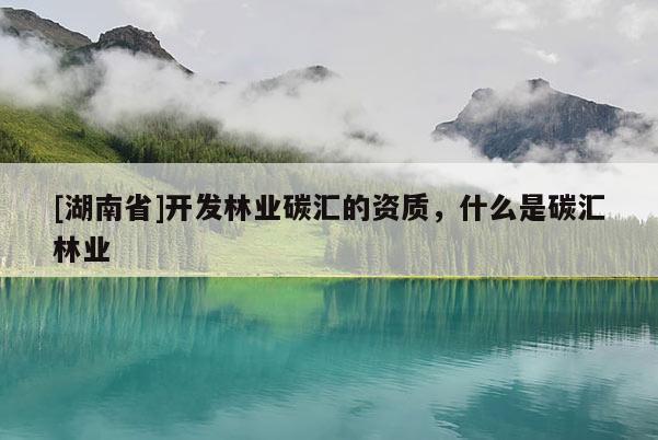 [湖南省]開發林業碳匯的資質，什么是碳匯林業