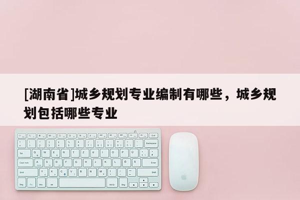 [湖南省]城鄉規劃專業編制有哪些，城鄉規劃包括哪些專業