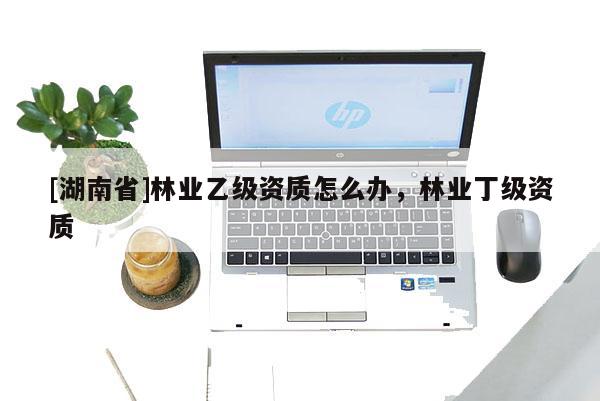 [湖南省]林業乙級資質怎么辦，林業丁級資質