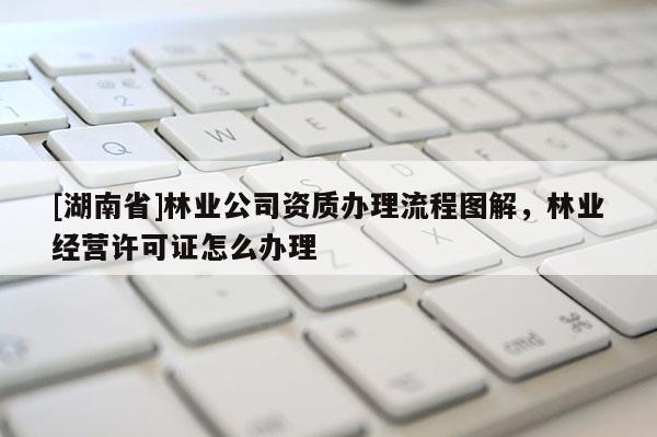 [湖南省]林業公司資質辦理流程圖解，林業經營許可證怎么辦理