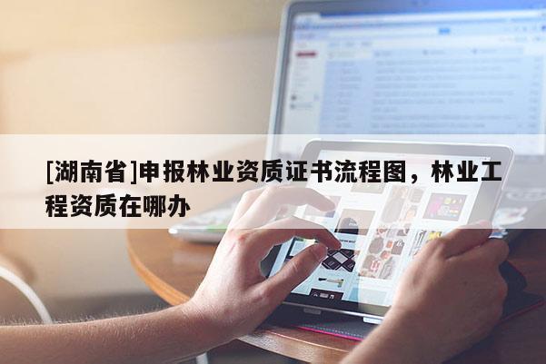[湖南省]申報林業資質證書流程圖，林業工程資質在哪辦