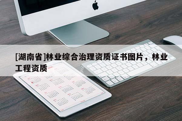 [湖南省]林業(yè)綜合治理資質(zhì)證書圖片，林業(yè)工程資質(zhì)