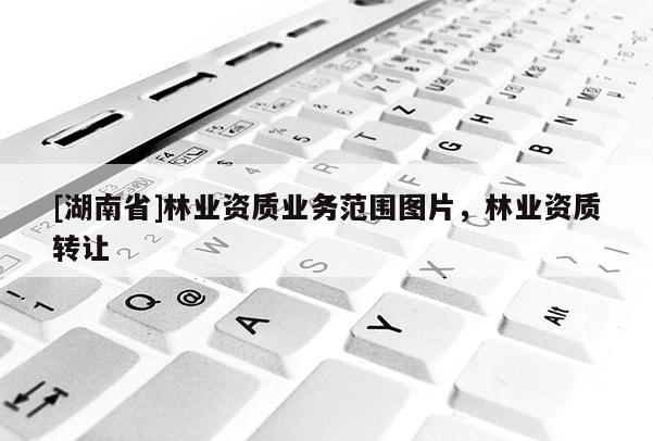 [湖南省]林業(yè)資質(zhì)業(yè)務(wù)范圍圖片，林業(yè)資質(zhì)轉(zhuǎn)讓