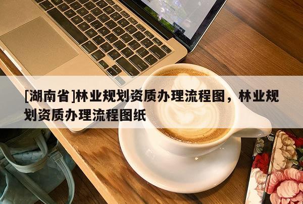 [湖南省]林業規劃資質辦理流程圖，林業規劃資質辦理流程圖紙