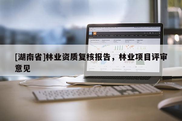 [湖南省]林業資質復核報告，林業項目評審意見