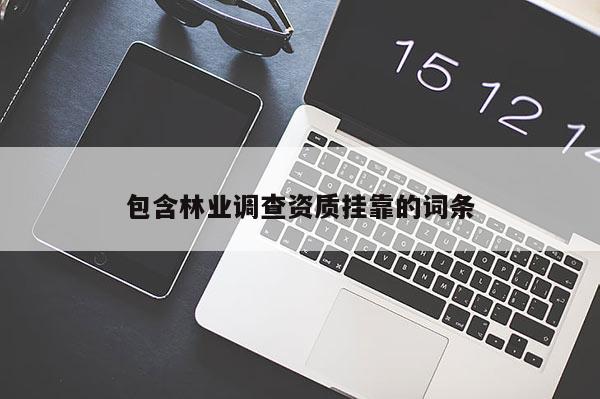 包含林業調查資質掛靠的詞條