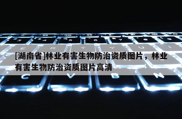 [湖南省]林業有害生物防治資質圖片，林業有害生物防治資質圖片高清