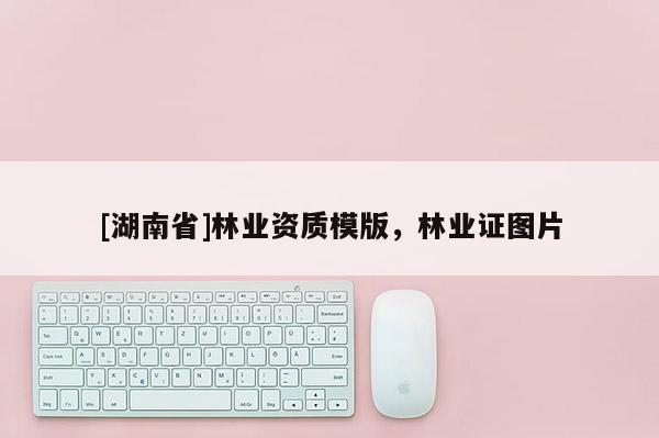 [湖南省]林業資質模版，林業證圖片