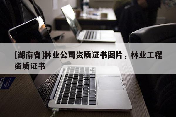 [湖南省]林業(yè)公司資質(zhì)證書圖片，林業(yè)工程資質(zhì)證書