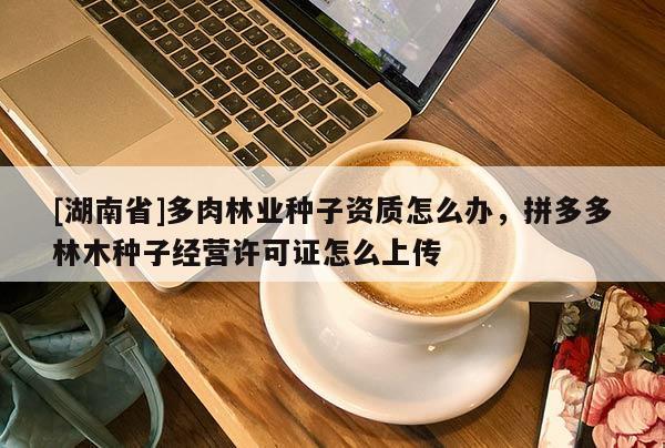 [湖南省]多肉林業種子資質怎么辦，拼多多林木種子經營許可證怎么上傳