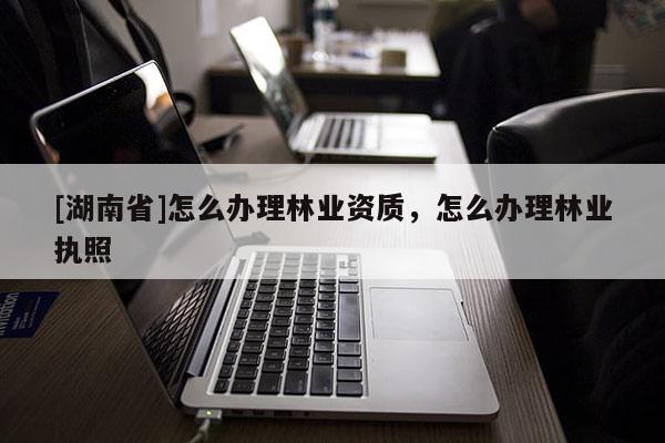 [湖南省]怎么辦理林業(yè)資質(zhì)，怎么辦理林業(yè)執(zhí)照