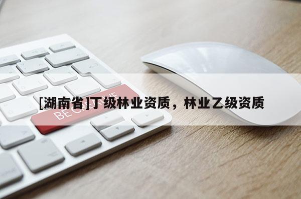 [湖南省]丁級林業資質，林業乙級資質
