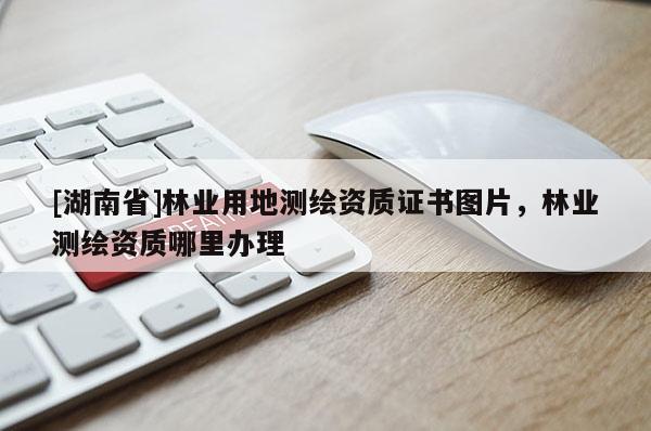 [湖南省]林業用地測繪資質證書圖片，林業測繪資質哪里辦理