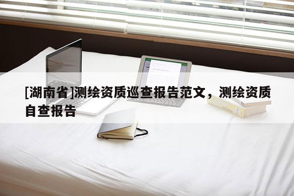 [湖南省]測繪資質巡查報告范文，測繪資質自查報告