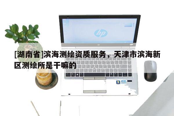[湖南省]濱海測繪資質(zhì)服務(wù)，天津市濱海新區(qū)測繪所是干嘛的