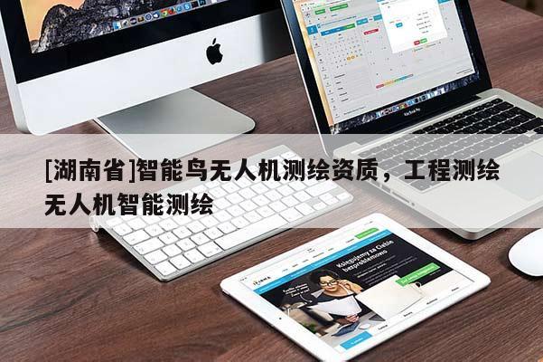 [湖南省]智能鳥無人機測繪資質，工程測繪無人機智能測繪