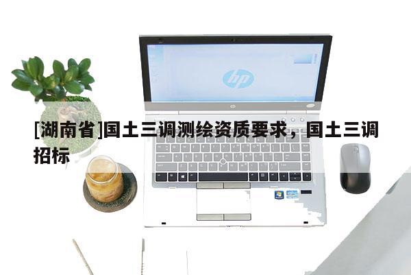 [湖南省]國土三調(diào)測繪資質(zhì)要求，國土三調(diào)招標