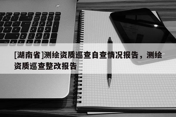 [湖南省]測繪資質巡查自查情況報告，測繪資質巡查整改報告