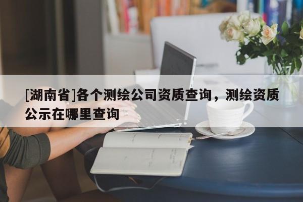 [湖南省]各個測繪公司資質查詢，測繪資質公示在哪里查詢