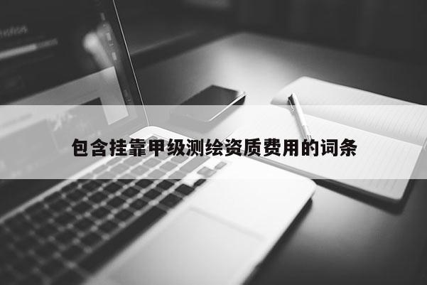 包含掛靠甲級測繪資質費用的詞條