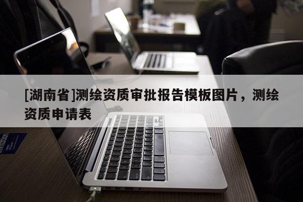 [湖南省]測繪資質審批報告模板圖片，測繪資質申請表