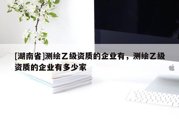 [湖南省]測繪乙級資質(zhì)的企業(yè)有，測繪乙級資質(zhì)的企業(yè)有多少家