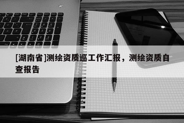 [湖南省]測繪資質巡工作匯報，測繪資質自查報告