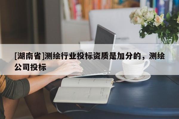 [湖南省]測繪行業投標資質是加分的，測繪公司投標