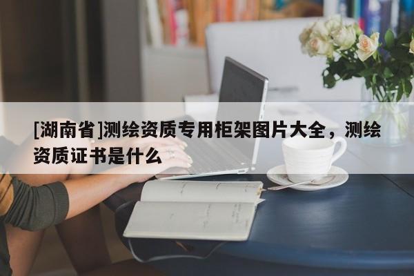 [湖南省]測繪資質(zhì)專用柜架圖片大全，測繪資質(zhì)證書是什么