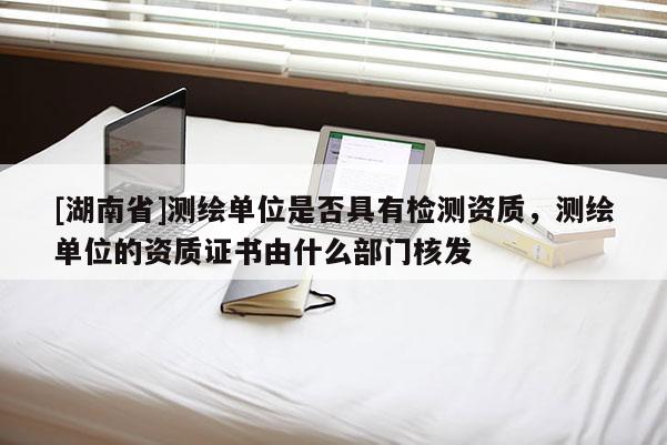 [湖南省]測繪單位是否具有檢測資質(zhì)，測繪單位的資質(zhì)證書由什么部門核發(fā)