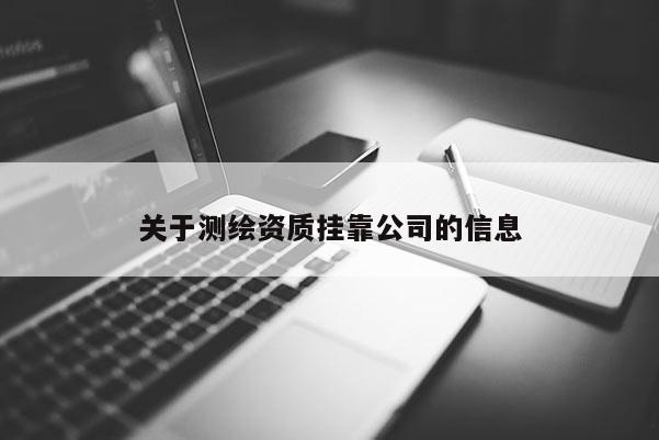 關于測繪資質掛靠公司的信息