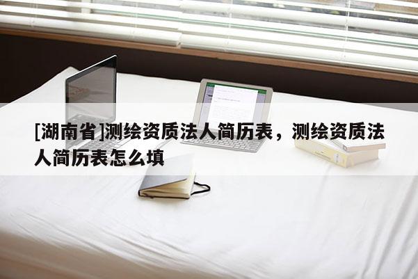 [湖南省]測繪資質法人簡歷表，測繪資質法人簡歷表怎么填