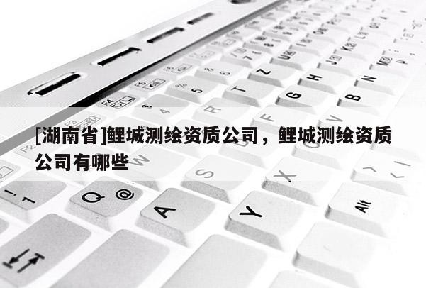 [湖南省]鯉城測繪資質公司，鯉城測繪資質公司有哪些