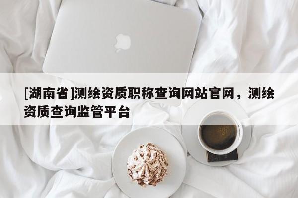 [湖南省]測(cè)繪資質(zhì)職稱查詢網(wǎng)站官網(wǎng)，測(cè)繪資質(zhì)查詢監(jiān)管平臺(tái)