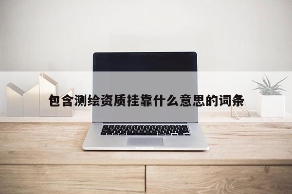 包含測繪資質掛靠什么意思的詞條
